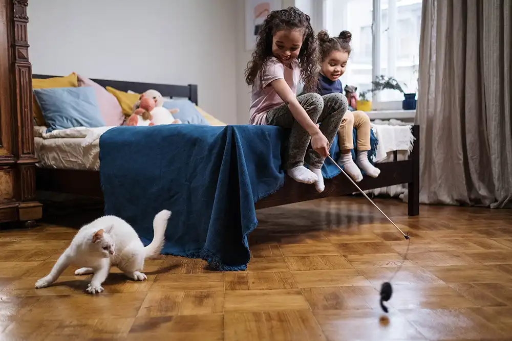 A Importância dos Brinquedos para Gatos e Como Escolhê-los - Meu Pet Meu Amigo 01