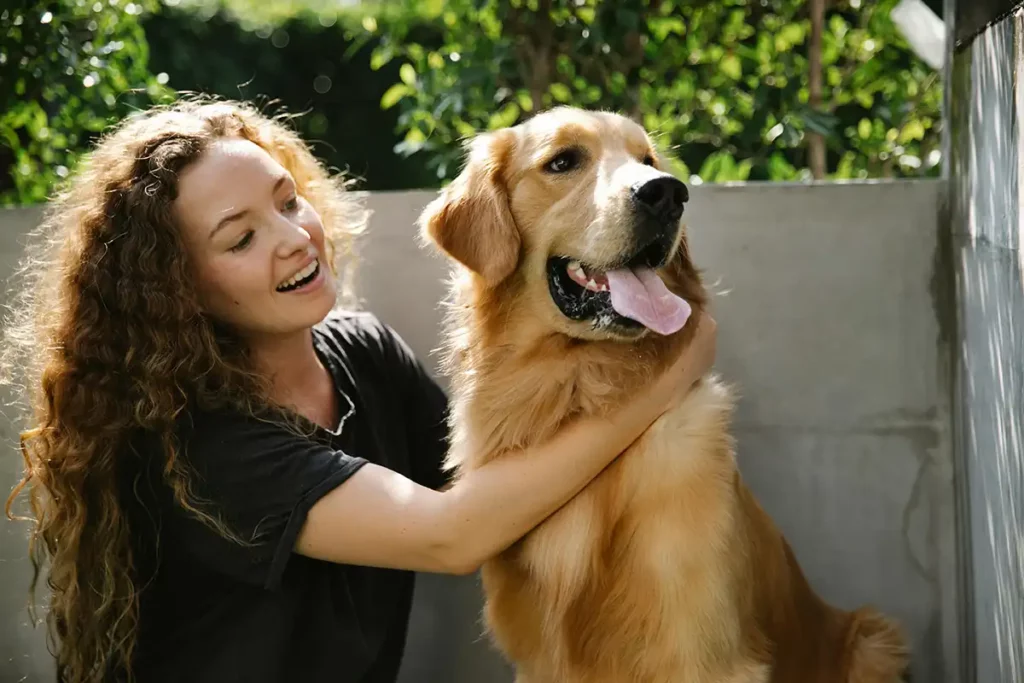 Golden Retriever - O Cachorro Mais Dócil - Meu Pet Meu Amigo 03